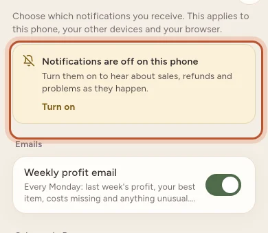 The notice saying notifications are off on this phone, with a Turn on button