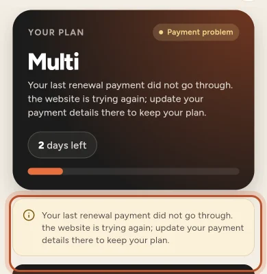 Payment problem in the app